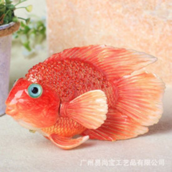 Picture of Decorate parrotfish